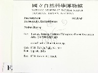 登錄號:F0020749藏品圖，第2張