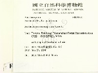 登錄號:F0020752藏品圖，第2張