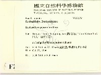 登錄號:F0020754藏品圖，第2張