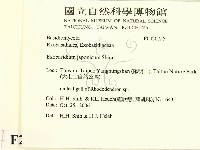 登錄號:F0020755藏品圖，第2張