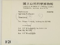 登錄號:F0020756藏品圖，第2張
