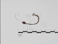 登錄號:F0020756藏品圖，第3張