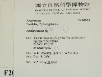 登錄號:F0020758藏品圖，第2張