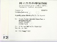 登錄號:F0020759藏品圖，第2張