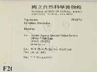 登錄號:F0020762藏品圖，第2張