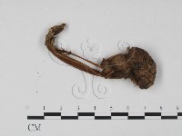登錄號:F0020762藏品圖，第3張