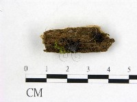 登錄號:F0020763藏品圖，第1張