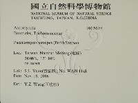 登錄號:F0020764藏品圖，第2張
