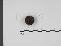 登錄號:F0020765藏品圖，第3張