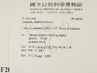 登錄號:F0020766藏品圖，第2張