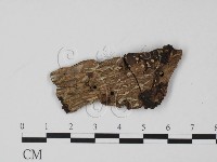 登錄號:F0020766藏品圖，第1張