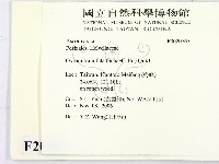 登錄號:F0020767藏品圖，第2張