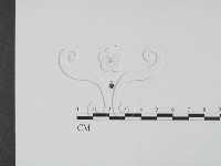 登錄號:F0020768藏品圖，第1張