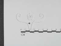 登錄號:F0020768藏品圖，第3張