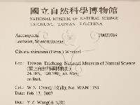 登錄號:F0020769藏品圖，第2張