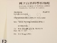 登錄號:F0020770藏品圖，第2張