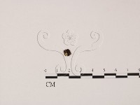 登錄號:F0020770藏品圖，第1張