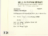 登錄號:F0020771藏品圖，第2張