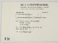 登錄號:F0020773藏品圖，第2張