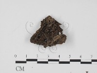 登錄號:F0020773藏品圖，第3張