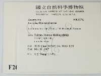 登錄號:F0020774藏品圖，第2張