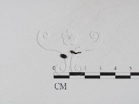 登錄號:F0020775藏品圖，第1張