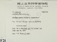 登錄號:F0020776藏品圖，第2張