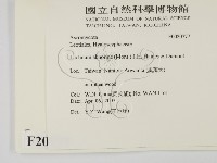 登錄號:F0020777藏品圖，第2張