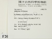 登錄號:F0020778藏品圖，第2張