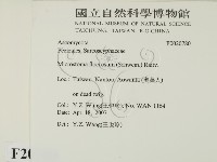 登錄號:F0020780藏品圖，第2張