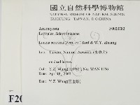 登錄號:F0020782藏品圖，第2張