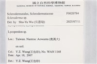 登錄號:F0020784藏品圖，第3張