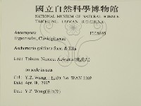 登錄號:F0020785藏品圖，第2張