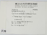 登錄號:F0020786藏品圖，第2張