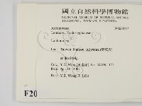 登錄號:F0020787藏品圖，第2張