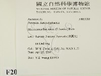 登錄號:F0020788藏品圖，第2張