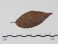 登錄號:F0020789藏品圖，第3張