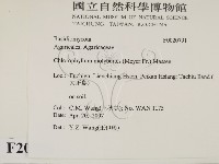 登錄號:F0020791藏品圖，第2張