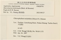 登錄號:F0020791藏品圖，第4張