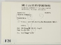 登錄號:F0020793藏品圖，第2張