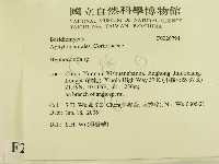 絲齒菌屬藏品圖，第2張