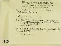 絲齒菌屬藏品圖，第2張