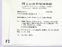 登錄號:F0020796藏品圖，第2張