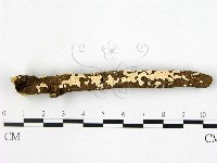 登錄號:F0020796藏品圖，第1張