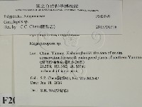 登錄號:F0020797藏品圖，第2張