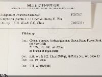 登錄號:F0020801藏品圖，第2張