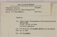 登錄號:F0020801藏品圖，第4張