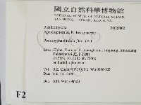 登錄號:F0020802藏品圖，第2張