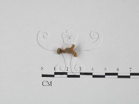 登錄號:F0020802藏品圖，第1張