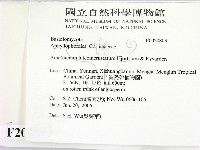 登錄號:F0020803藏品圖，第2張